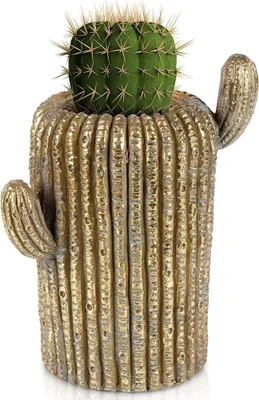 Image de Pot en ciment unique en forme de cactus de couleur dorée pour une maison élégante