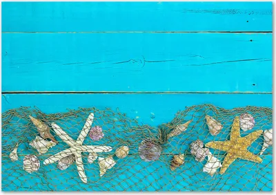 Produktbild von Tulup® Leinwandbild - 100x70 cm - Wandkunst - Drucke auf Leinwand - Leinwanddruck  - Sonstige - Blau - Seestern Muscheln