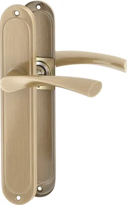 A pair of bronze door handles with backplates, presented against a white background.