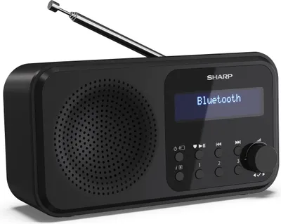 Immagine prodotto di Sharp DR-P420 Radio Portatile Digitale Nero