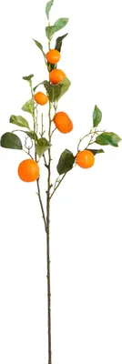Obrázok produktu pre Sľudové dekorácie Mandarínková umelá vetvička - H104 cm - oranžová