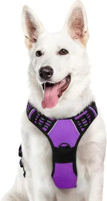 Produktbild von Famanu Hundegeschirr für große Hunde - Verstellbar, reflektierend, lila, XL
