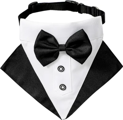 Produktbild von Dreieckstuch im britischen Stil für Hochzeiten, Hundehalstuch, Sabbertuch für Haustiere