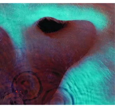 Image de Meddle