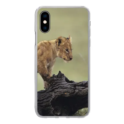 Produktbild von MuchoWow® Handyhülle Schutzhülle Hülle für iPhone X Löwe - Rüssel - Junge Silikon Softcase Handy Hülle - Handyhülle