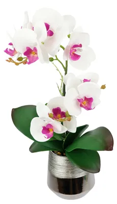 Obrázok produktu pre Umelá orchidea Phalaenopsis s listami v dekoratívnom kvetináči, výška 42 cm