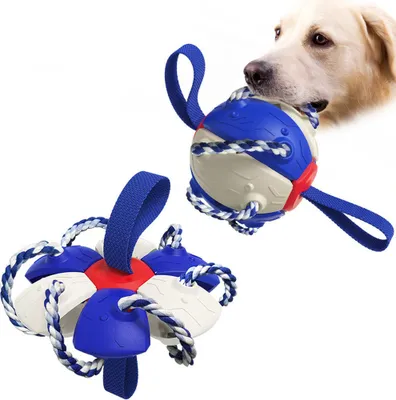 Produktbild von 2-in-1-Kauknochen für Hunde, Hundefrisbee für Aktivitäten im Freien(Blau)