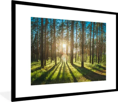 Produktbild von MuchoWow® Gerahmtes Poster Sonne - Bäume - Landschaft - Gras 80x60 cm - Poster mit Schwarzem Bilderrahmen Wandposter Rahmen Foto Bilder - Schlafzimmer-Dekorationen - Fotoposter