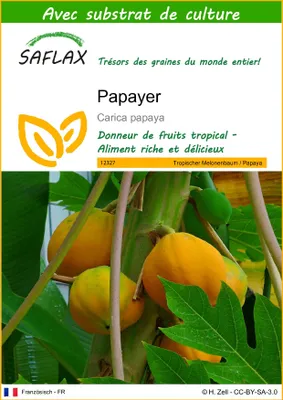 Image de SAFLAX  - Papayer - 30 graines - Avec substrat - Carica