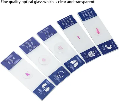 Image de 35 Piece of Colorful Microscope Specimens Biological Specimen Slides Primary and Secondary Gifts