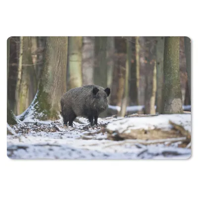 Produktbild von MuchoWow® Schreibtischunterlage Wildschwein - Schnee - Tier 60x40 cm - XXL Mauspad - Großes Mauspad