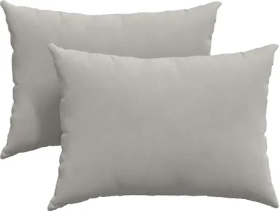 Immagine prodotto di vidaXL Cuscini per divano, 2 pezzi, tessuto, grigio chiaro, 70 x 50 cm