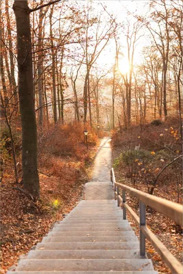 Produktbild von Wallario Poster - Weg in den Sonnenuntergang, Kunstdruck Größe: 100 x 150 cm