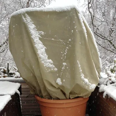 Produktbild von Noor Winterschutzhaube PRO XXXL Ø 200x300cm beige 70gr/m²; 0111PROXXXL