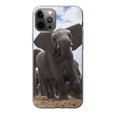 Produktbild von MuchoWow® Handyhülle Schutzhülle Hülle für iPhone 13 Pro Elefant - Tiere - Natur - Flachland Silikon Softcase Handy Hülle - Handy-Tasche