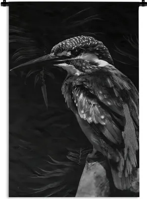 Produktbild von MuchoWow® Wandteppich Wandbehang Vogel vor schwarzem Hintergrund - schwarz und weiß 90x135 cm Tapisserie Dekoration Wandtuch - Baumwolle - Wandskulptur