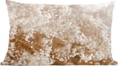 Produktbild von MuchoWow® Zierkissen Sofakissen Wohnzimmer Dekokissen 60x40 cm Pampasgras - Pflanze - Natur - Kopfkissen - Polster mit Foto