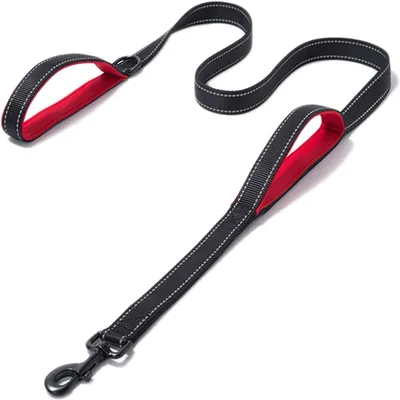 Image de Laisse réfléchissante, 1,8 mètre, avec double poignée rembourrée, en nylon, pour chiens de grande et moyenne taille