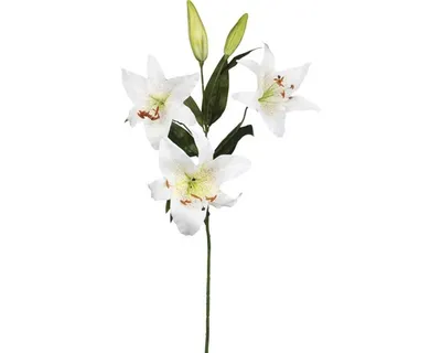 Produktbild von Umelá kvetina ľalia 75 cm krémová