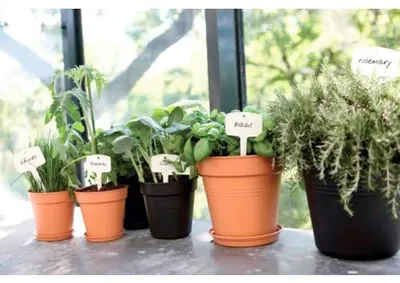Produktbild von Blumentopf Untersetzer Elho Loft Urban Kunststoff Ø 21 cm H 2,8 cm terra