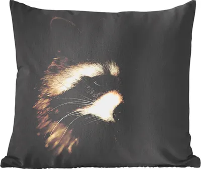 Produktbild von MuchoWow® Zierkissen Sofakissen Wohnzimmer Dekokissen 60x60 cm Waschbär - Wilde Tiere - Schwarz - Sitzfläche - Foto Polster