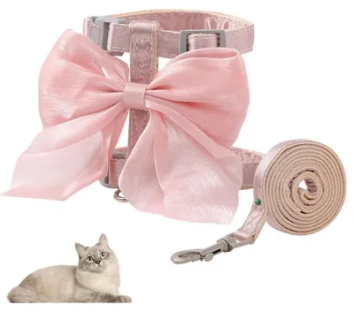 Immagine prodotto di Collare per gatti con guinzaglio, antiscappamento, rosa, con papillon, adatto per gatti, cuccioli, cani di piccola taglia e conigli