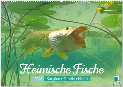 Produktbild von Heimische Fische: Karpfen, Forelle, Hecht (Wandkalender 2025 DIN A2 quer), CALVENDO Monatskalender