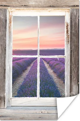 Produktbild von MuchoWow® Poster Durchsichtig - Lavendel - Holz 40x60 cm - Plakate für die Wand - Poster Babyzimmer