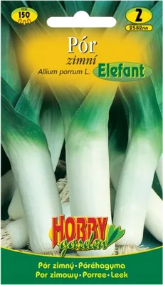 Image de Poireau d'hiver ELEFANT