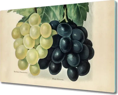 Produktbild von Coloray Herdabdeckplatte 80x52 cm Schneidebrett Kochplattenabdeckung Küchenbrett Hackbrett - Obst Trauben Blätter