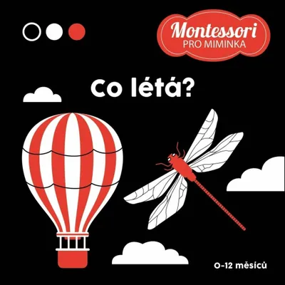 Zdjęcie produktu dla Co létá? | kolektiv