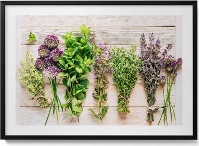 Produktbild von Pflanzen und Kräuter auf Brettern– Wandbild mit Rahmen – Gerahmtes Bild  – Wanddekoration – 100x70 cm –  Schwarz Rahmen