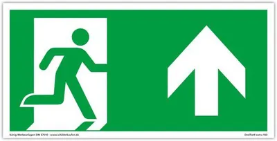 Produktbild von Dreifke® Schild Notausgang extra langnachleuchtend | PVC selbstkl. 297x148mm ...