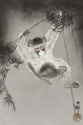 Produktbild von Plakat 40x60cm Affe, Japanischer Vintage Koson für das Wohnzimmer