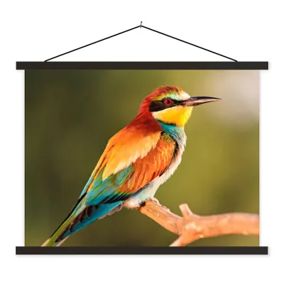 Produktbild von MuchoWow® Textilposter Vögel - Bienenfresser - Regenbogen - Tiere 40x30 cm mit schwarzem Rahmen - Dekorationen