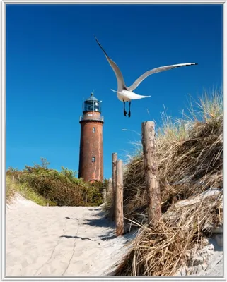 Produktbild von Wallario Wandbild Möwe am Strand mit Leuchtturm, Größe: 40,30 x 50,30 cm, Poster mit weißem Aluminiumrahmen