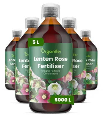 Produktbild von Weihnachtsrose Flüssigdünger 5x1L – 3-4-3 NPK – Flüssig-Pflanzendünger für Weihnachtsrosen – Organifer