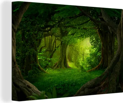 Produktbild von OneMillionCanvasses® - Leinwandbilder - 150x100 cm, Bäume - Wald - Grün - Landschaft - Natur, Wandbilder Kunstdruck Wanddekoration - Foto auf Leinwand - Gemälde auf Holzrahmen