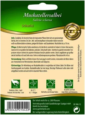 Produktbild von Muskatellersalbei