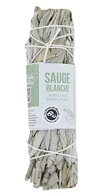 Produktbild von Aromandise, Zöpfe aus weißem Salbei, 13 cm (1 Stück)