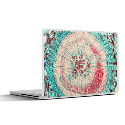 Produktbild von MuchoWow® Laptop Aufkleber Sticker Cover Kreis - Blau - Rot 32.5x23.5 cm - Sticker für Laptop - Selbstklebend