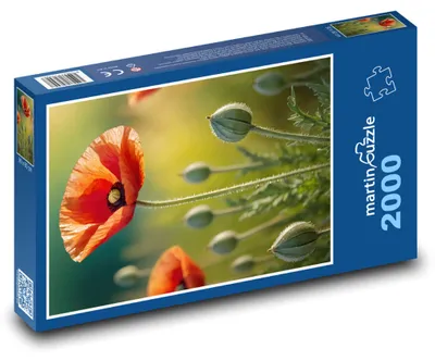 Obrázek produktu pro Puzzle 2000 Květ vlčího máku - martinpuzzle
