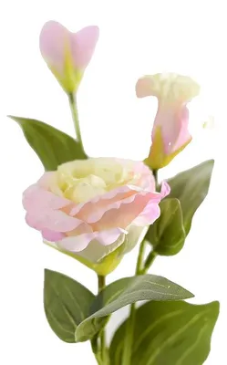 Obrázek produktu pro Umělé květiny eustoma, ideální pro bytovou dekoraci, perfektní pro oslavy, růžové