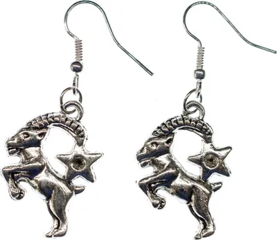 Produktbild von Steinbock Stern Ohrringe Miniblings Hänger Sternzeichen Sternbild Astrologie
