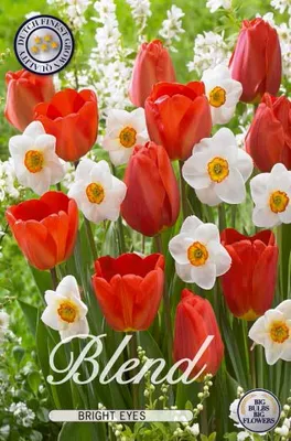 Produktbild von Narzisse / Tulpe Bright Eyes (15 Stück) | Blumenzwiebelmischungen von Sam van Schooten