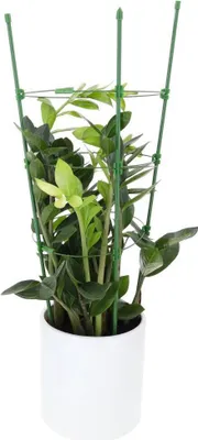 Produktbild von Pflanzenstütze Strauchstütze halbrund grün Staudenhalter Blumenhalter 90cm