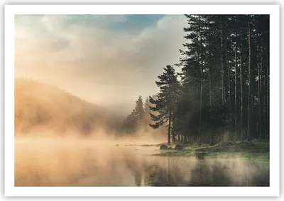 Produktbild von Poster - Poster ohne Rahmen - Nebel See Wald - 100x70 cm - Wand Bild - Wanddeko - Wandbilder - Kunstposter - Wandposter - Bilder - Kunstdruck - Wanddekoration - Wandbild - P2XAA100x70-4440
