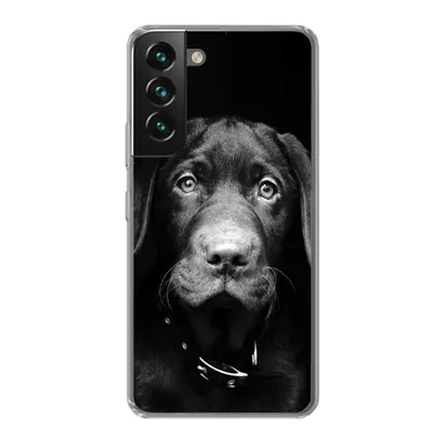 Produktbild von MuchoWow® Handyhülle Schutzhülle Hülle für Samsung Galaxy S22 Plus Nahaufnahme Labrador Welpe vor schwarzem Hintergrund in schwarz und weiß Silikon Softcase Handy Hülle - Schutzabdeckung