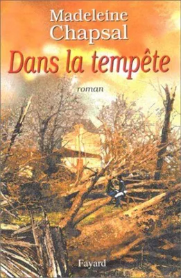 Image de Dans la tempête