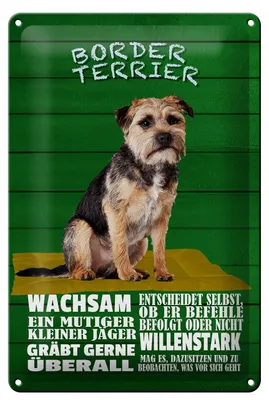 Produktbild von Blechschild Spruch 20x30cm Border Terrier Hund wachsam